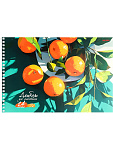 Альбом д/рис. 24л Спелые апельсины, 24-1007 спираль