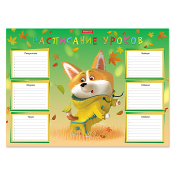 Расписание уроков А3 ErichKrause Корги, 53169