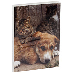 Фотоальбом на 36 фото ArtSpace. Friends, РА_22334 мягкая обл.