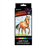 Карандаши 12цв Дикая планета КЦ12-ДП 3-гранные, мягк. грифель, увел. диаметр