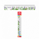 Линейка пластиковая 20см ErichKrause Lupine (58100)