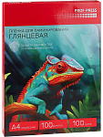 Пленка для ламинир. А4 100мкм прозр 100шт Проф-пресс, ПЛЛ-2649