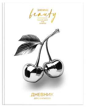 Дневник 1-11кл Хром вещи, 48л ДУТ-ХВЩ, твердая обложка