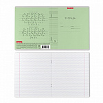 Тетрадь 12л частая косая линия ErichKrause Классика Visio зеленая 46468