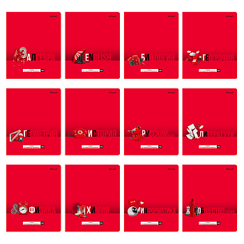 Комплект Тетрадь предметная 48л -ПреКрасная- 12шт 01052