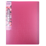 Папка на 20 файлов Брусника Expert Complete Trend ICEberries ЕС211520070, 600мкм 20мм