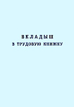 Вкладыш в трудовую книжку,BT-III (новый 2023г) 88*125мм, 36л., бланк