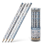 Карандаш черногр. ErichKrause Frozen Beauty, 55263 трехгранный, с ластиком, HB