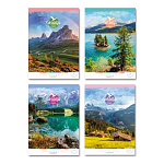 Тетрадь со сменным блоком А5 160л клетка Wildlife 5667