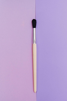 Кисть  Белка № 10  Эдельвейс б10 круглая