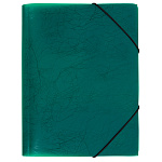 Папка с резинкой А4 зеленая,Expert PRIZMA 35мм 600мкм пластиковая ЕС21043003