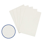 Картон грунтованный Vista-Artista PKR-2040, 20*40см