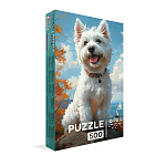 ����� 500 ���� ����-�������-����-������ PZL-500/96